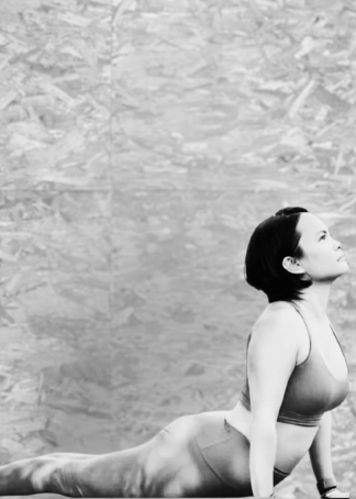 Leofel SECLEPPE Leofel SECLEPPE